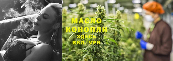 шишки Горнозаводск