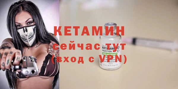 сатива Вязьма