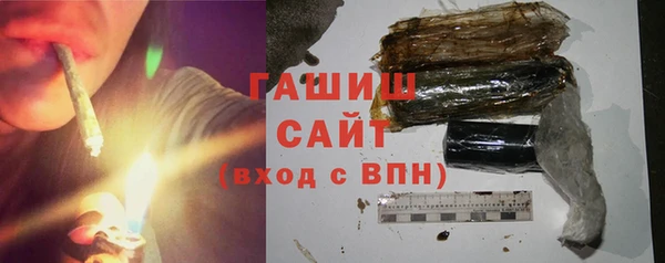 шишки Горнозаводск