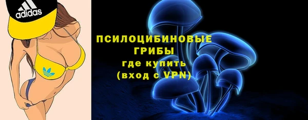 СК Дмитровск
