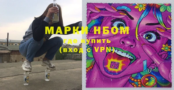 шишки Горнозаводск