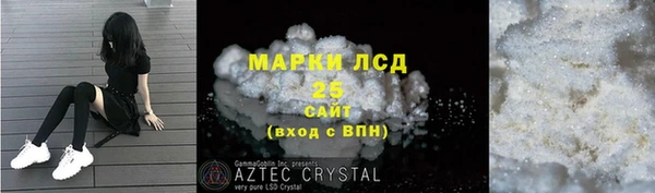 хмурый Вяземский