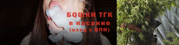 хмурый Вяземский