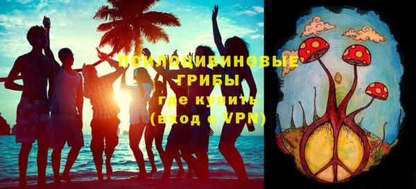 экстази Дмитров