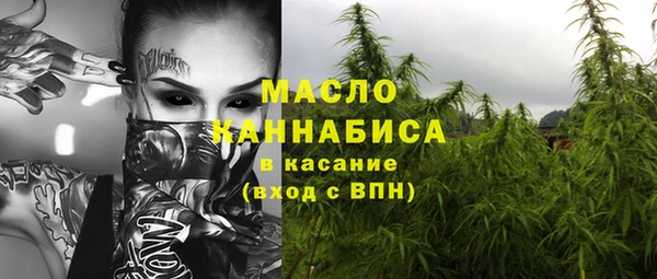 шишки Горнозаводск