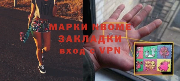 шишки Горнозаводск