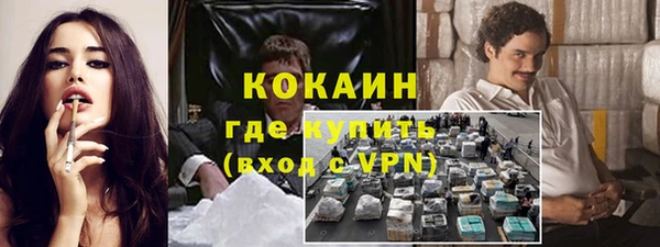 сатива Вязьма