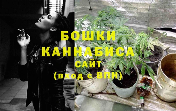 шишки Горнозаводск