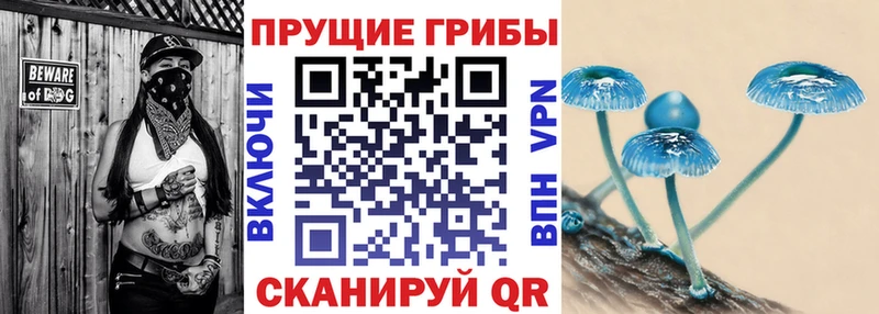 Галлюциногенные грибы мухоморы  площадка формула  Качканар  где продают наркотики 
